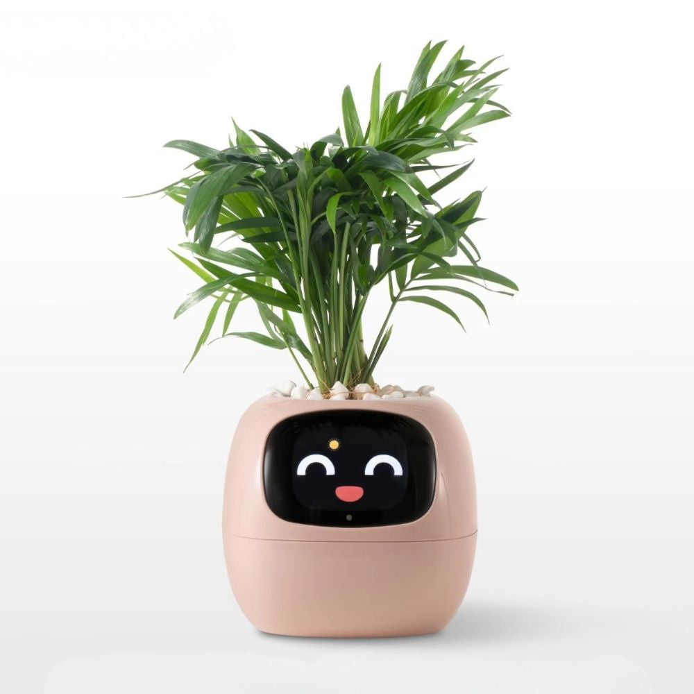 העציץ החכם של planto