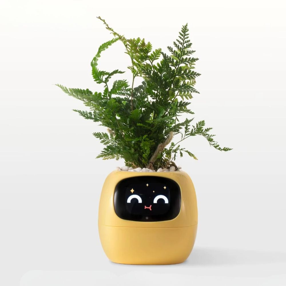 העציץ החכם של planto