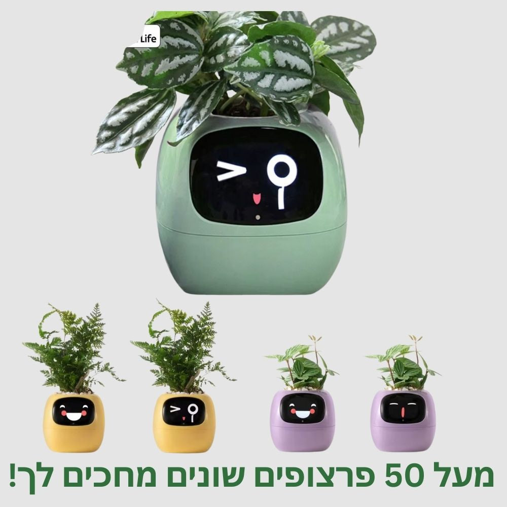 העציץ החכם של planto