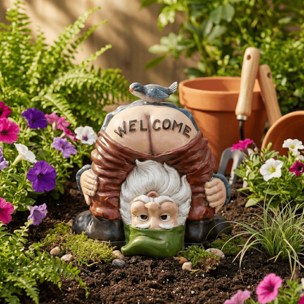 גמד גינה שובב