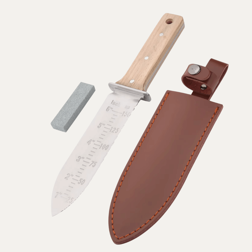 סכין גינה+אבן שיוף